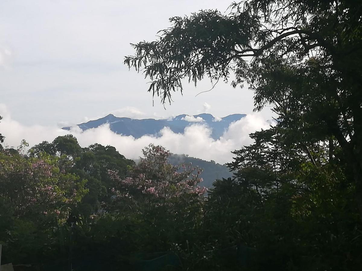 Jungle Tide Bed and Breakfast Kandy Eksteriør billede
