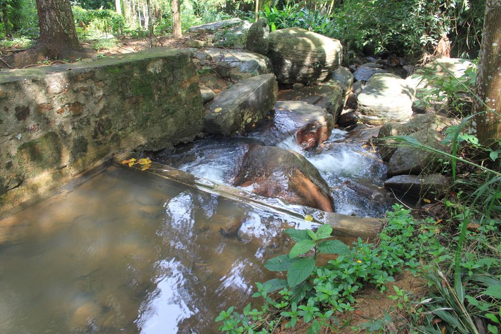 Jungle Tide Bed and Breakfast Kandy Eksteriør billede