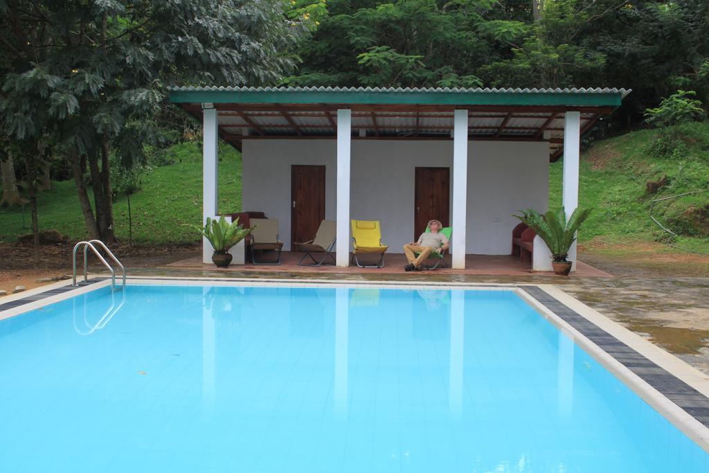 Jungle Tide Bed and Breakfast Kandy Eksteriør billede